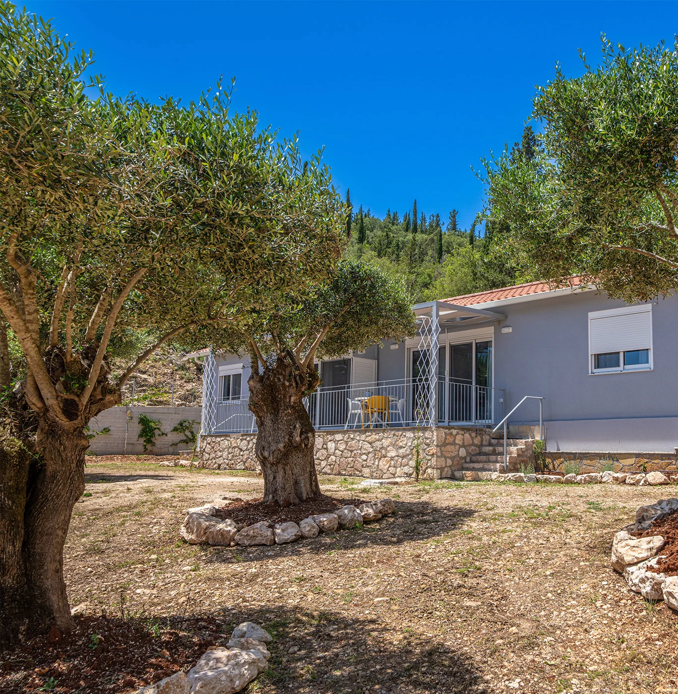 Beachfront accommodation Kefalonia with private olive grove and sea views